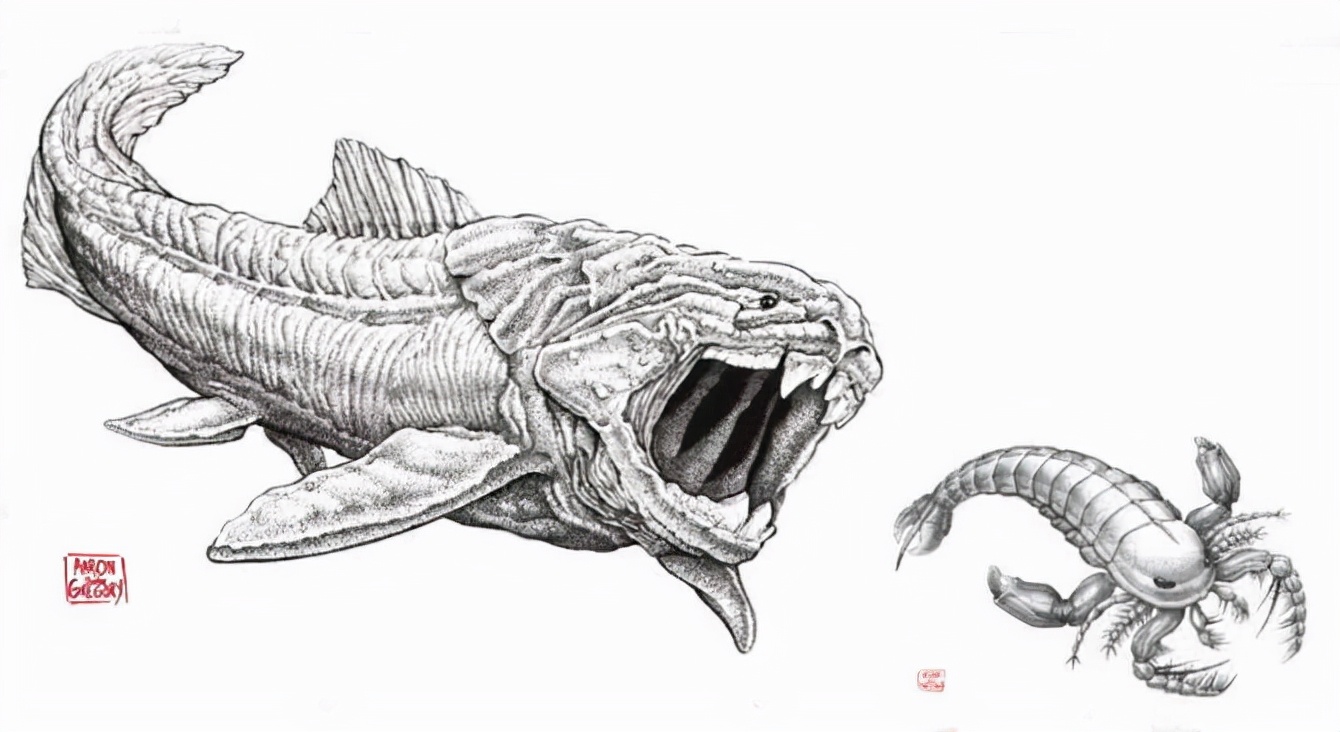 最初的海怪,中国首次发现4.3亿年前混翅蜍化石,它们有多奇特?休闲区蓝鸢梦想 - Www.slyday.coM 最初的海怪,中国首次发现4.3亿年前混翅蜍化石,它们有多奇特?休闲区蓝鸢梦想 - Www.slyday.coM