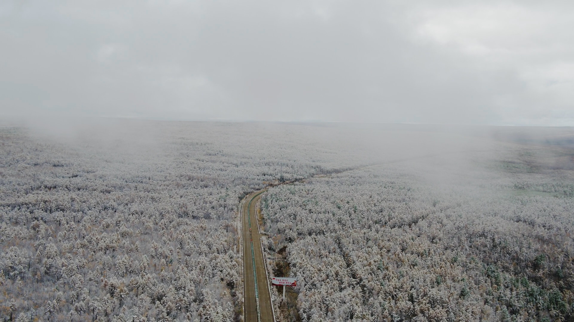 黑龙江漠河5月飞雪图片