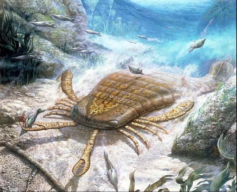 最初的海怪,中国首次发现4.3亿年前混翅蜍化石,它们有多奇特?休闲区蓝鸢梦想 - Www.slyday.coM 最初的海怪,中国首次发现4.3亿年前混翅蜍化石,它们有多奇特?休闲区蓝鸢梦想 - Www.slyday.coM