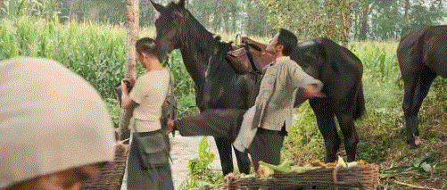 《我和我的父辈》口碑炸裂,连续3年,国庆第一IP都没让人失望休闲区蓝鸢梦想 - Www.slyday.coM 《我和我的父辈》口碑炸裂,连续3年,国庆第一IP都没让人失望休闲区蓝鸢梦想 - Www.slyday.coM