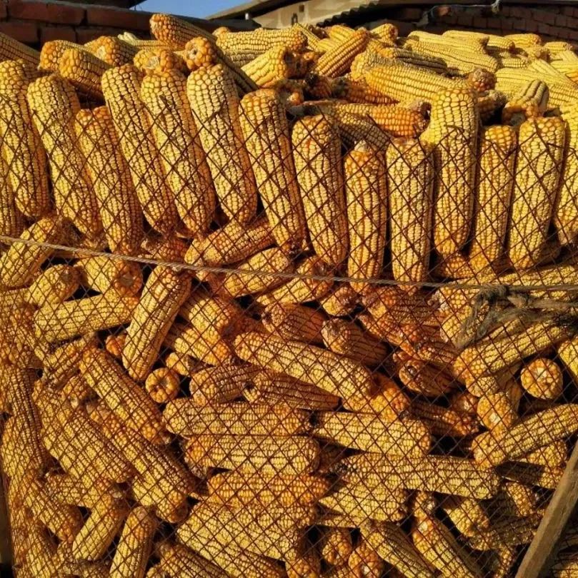 猫湿粮排行_狗粮测评,千万别喂狗狗这些毒狗粮了