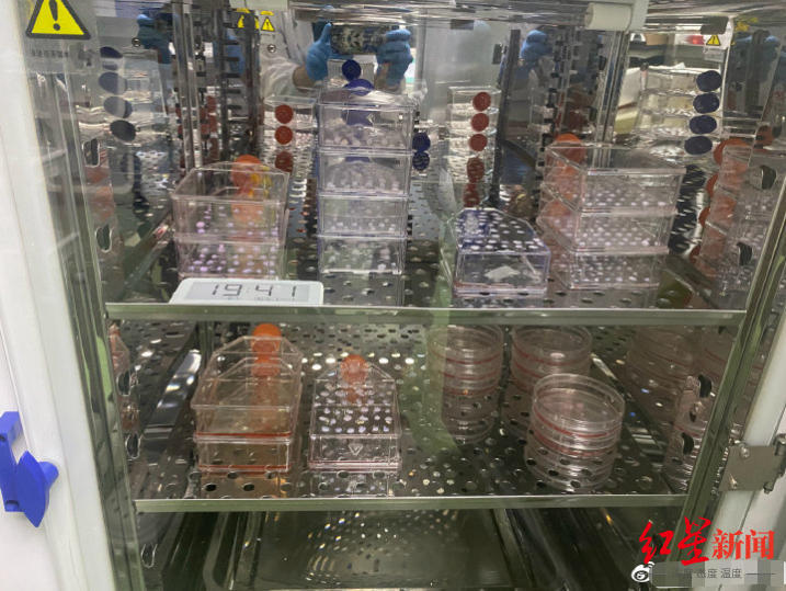 红星观察｜高中学历父亲“自制药”救子背后：罕见病救治之困要如何破局？休闲区蓝鸢梦想 - Www.slyday.coM