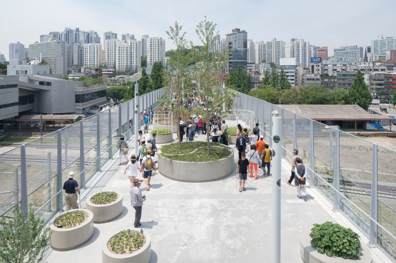 首尔高线公园拥有50个类目的植物，种植于645个树桶中。