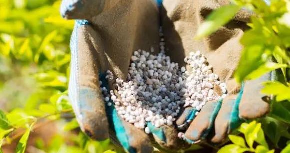 盐湖股份股价持续下跌 子公司采矿近十年居然没