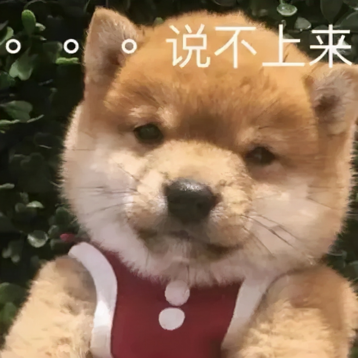 封杀了一个郭老师,又来了一个撞脸杨幂的三梦老师?休闲区蓝鸢梦想 - Www.slyday.coM 封杀了一个郭老师,又来了一个撞脸杨幂的三梦老师?休闲区蓝鸢梦想 - Www.slyday.coM