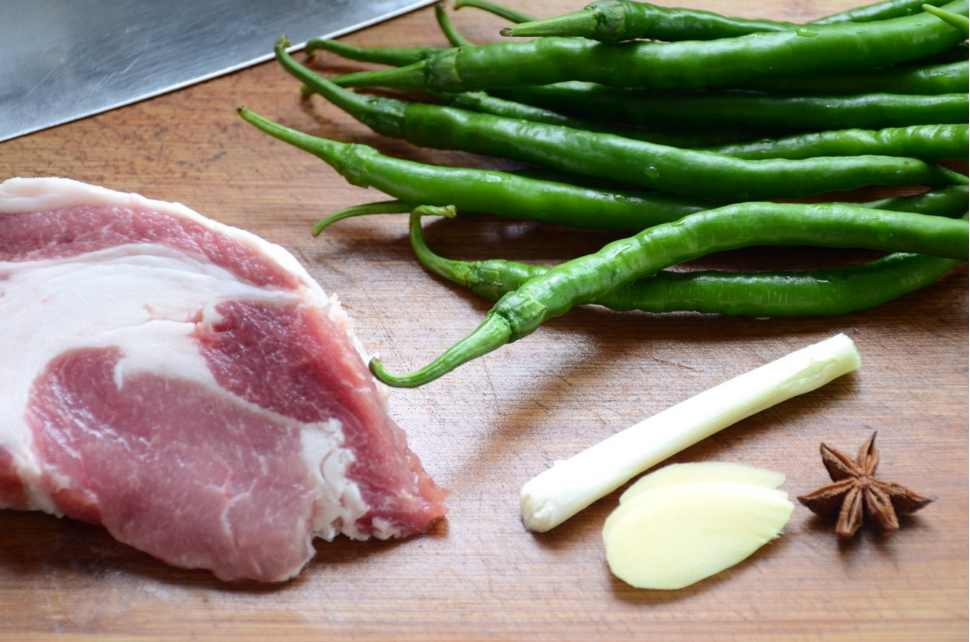 杭椒炒肉丁香辣过瘾，专治各种没有食欲的，实在是太下饭了休闲区蓝鸢梦想 - Www.slyday.coM