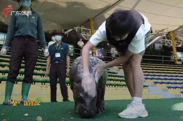 看哭了,14岁全红婵人生第1次逛动物园:10年的心愿,终于实现了休闲区蓝鸢梦想 - Www.slyday.coM 看哭了,14岁全红婵人生第1次逛动物园:10年的心愿,终于实现了休闲区蓝鸢梦想 - Www.slyday.coM