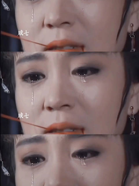 我记得之前看过琼瑶对刘雪华哭戏的评价