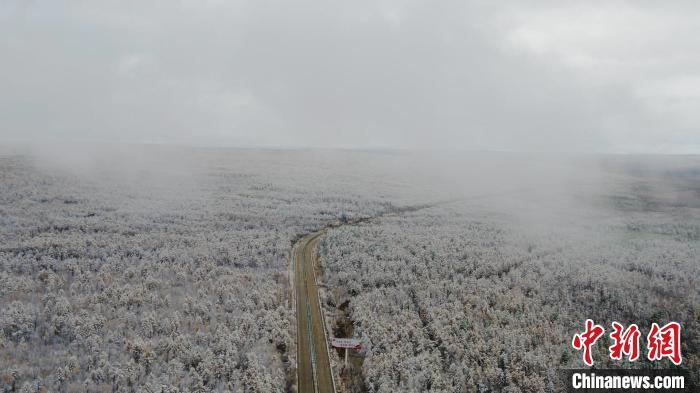 “神州北极”迎今秋首场雪 “林海”一夜变“雪海”休闲区蓝鸢梦想 - Www.slyday.coM