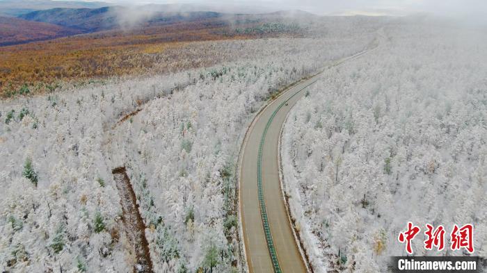 “神州北极”迎今秋首场雪 “林海”一夜变“雪海”休闲区蓝鸢梦想 - Www.slyday.coM