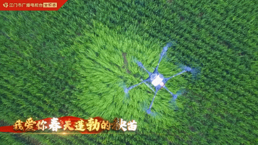 我爱你，中国！江门向祖国表白！休闲区蓝鸢梦想 - Www.slyday.coM