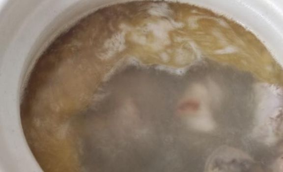 鹿茸菇炖个乡村小母鸡,您是不是把不该丢的丢弃了休闲区蓝鸢梦想 - Www.slyday.coM 鹿茸菇炖个乡村小母鸡,您是不是把不该丢的丢弃了休闲区蓝鸢梦想 - Www.slyday.coM