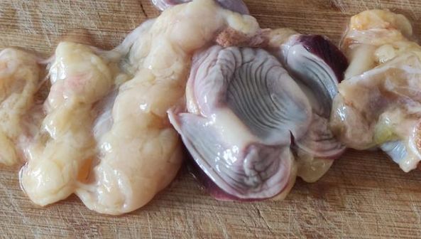 鹿茸菇炖个乡村小母鸡,您是不是把不该丢的丢弃了休闲区蓝鸢梦想 - Www.slyday.coM 鹿茸菇炖个乡村小母鸡,您是不是把不该丢的丢弃了休闲区蓝鸢梦想 - Www.slyday.coM