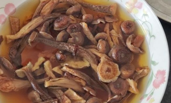 鹿茸菇炖个乡村小母鸡,您是不是把不该丢的丢弃了休闲区蓝鸢梦想 - Www.slyday.coM 鹿茸菇炖个乡村小母鸡,您是不是把不该丢的丢弃了休闲区蓝鸢梦想 - Www.slyday.coM