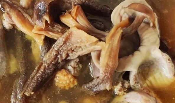 鹿茸菇炖个乡村小母鸡,您是不是把不该丢的丢弃了休闲区蓝鸢梦想 - Www.slyday.coM 鹿茸菇炖个乡村小母鸡,您是不是把不该丢的丢弃了休闲区蓝鸢梦想 - Www.slyday.coM