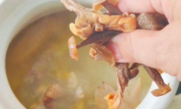 鹿茸菇炖个乡村小母鸡,您是不是把不该丢的丢弃了休闲区蓝鸢梦想 - Www.slyday.coM 鹿茸菇炖个乡村小母鸡,您是不是把不该丢的丢弃了休闲区蓝鸢梦想 - Www.slyday.coM