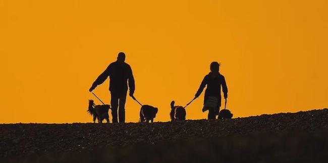 河南13岁女孩因想不开喝下百草枯，目前肺部已经被烧坏！休闲区蓝鸢梦想 - Www.slyday.coM