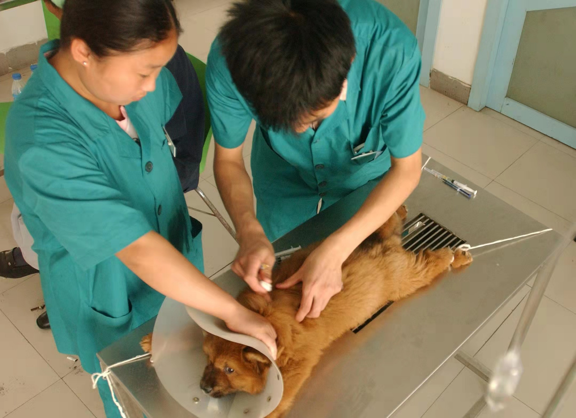 狂犬病病死率几乎100%,医生告诉你:被咬后的预防方法休闲区蓝鸢梦想 - Www.slyday.coM 狂犬病病死率几乎100%,医生告诉你:被咬后的预防方法休闲区蓝鸢梦想 - Www.slyday.coM