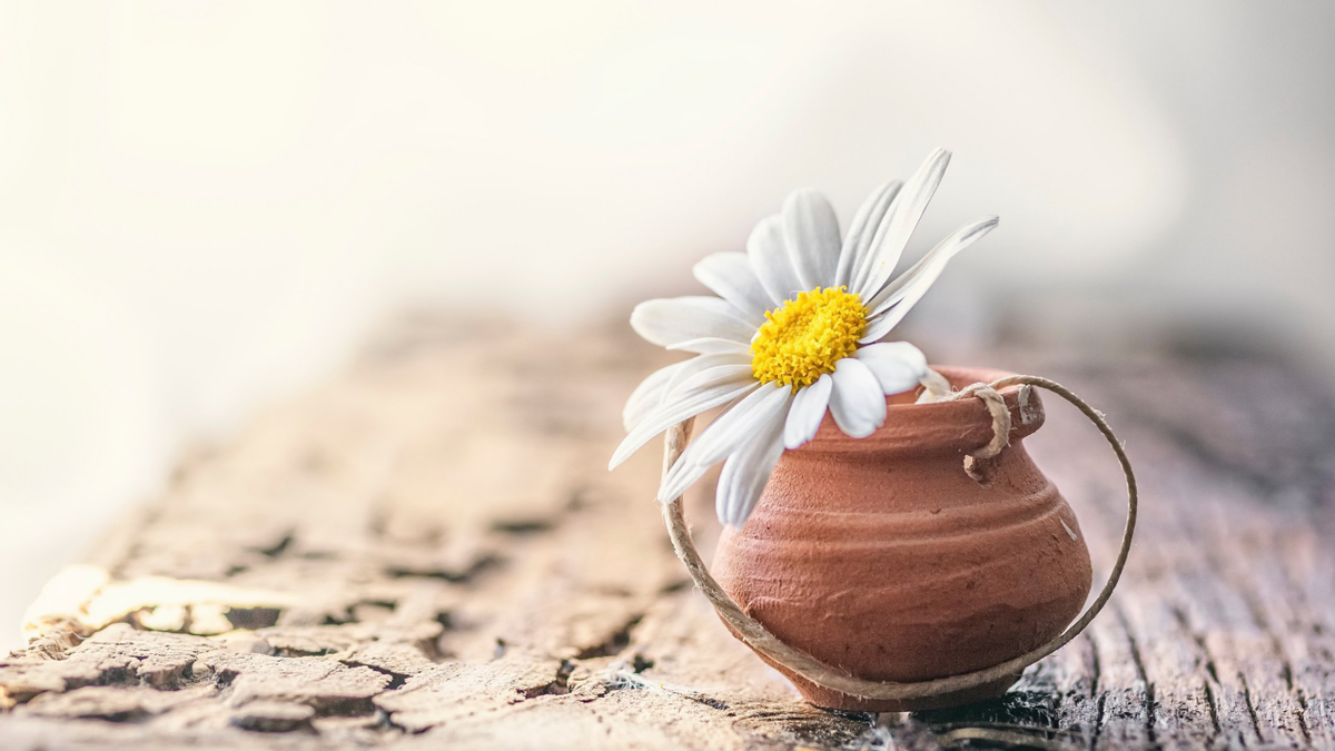 心理学研究:孩子的脸型与智商有关,看看你家娃是哪种休闲区蓝鸢梦想 - Www.slyday.coM 心理学研究:孩子的脸型与智商有关,看看你家娃是哪种休闲区蓝鸢梦想 - Www.slyday.coM