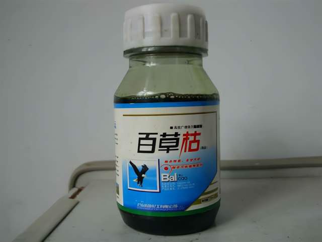 河南13岁女孩因想不开喝下百草枯，目前肺部已经被烧坏！休闲区蓝鸢梦想 - Www.slyday.coM