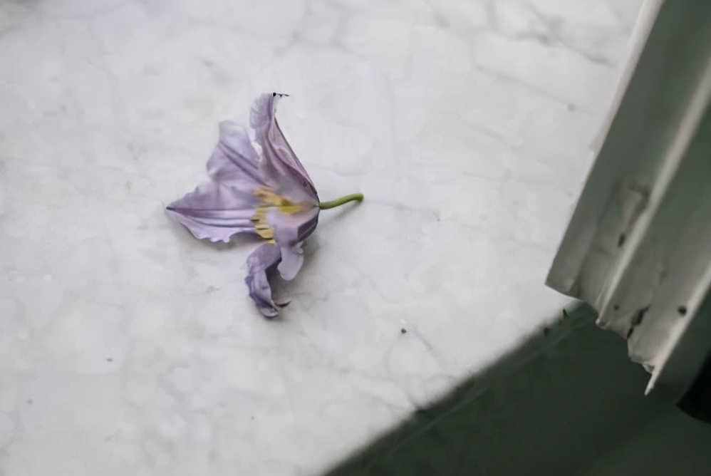 心理学研究:孩子的脸型与智商有关,看看你家娃是哪种休闲区蓝鸢梦想 - Www.slyday.coM 心理学研究:孩子的脸型与智商有关,看看你家娃是哪种休闲区蓝鸢梦想 - Www.slyday.coM