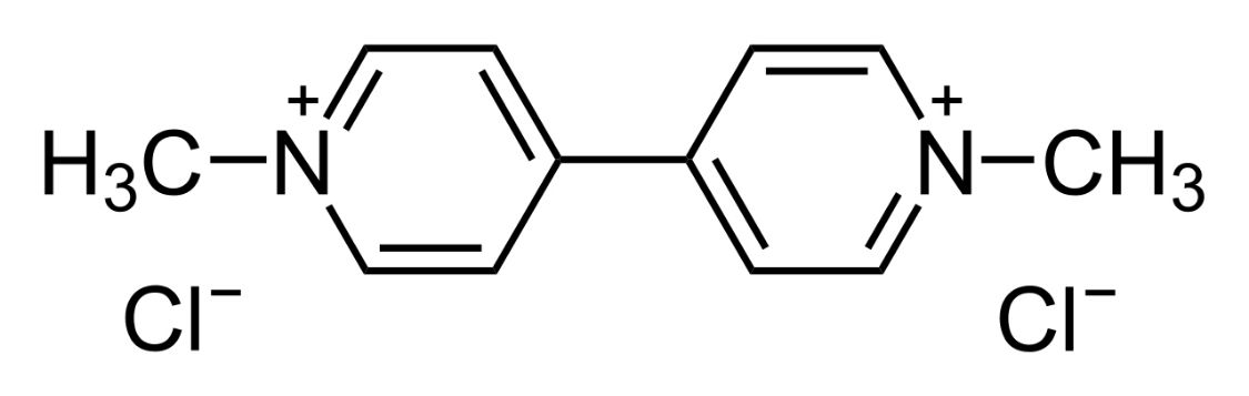 13岁女孩喝下百草枯，生死未卜，百草枯有多可怕？休闲区蓝鸢梦想 - Www.slyday.coM