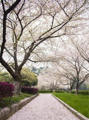 "拉尼娜"现象对全球气候都息息相关.