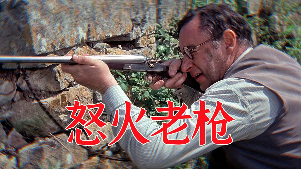 满腔怒火,一把老枪,拼死复仇侵略者,战争惊悚片《老枪》
