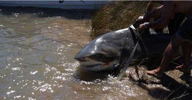 男子在家附近的湖边钓鱼，把鱼拉上来的瞬间，在场的人愣住了休闲区蓝鸢梦想 - Www.slyday.coM