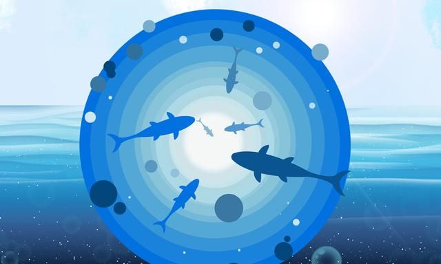 为什么要等窝子里有很多鱼之后再开钓?等鱼群聚集后开钓的优点休闲区蓝鸢梦想 - Www.slyday.coM 为什么要等窝子里有很多鱼之后再开钓?等鱼群聚集后开钓的优点休闲区蓝鸢梦想 - Www.slyday.coM