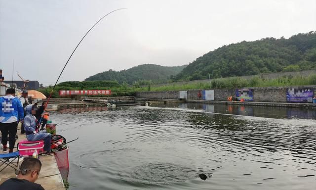 为什么要等窝子里有很多鱼之后再开钓?等鱼群聚集后开钓的优点休闲区蓝鸢梦想 - Www.slyday.coM 为什么要等窝子里有很多鱼之后再开钓?等鱼群聚集后开钓的优点休闲区蓝鸢梦想 - Www.slyday.coM