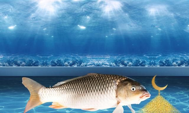 为什么要等窝子里有很多鱼之后再开钓?等鱼群聚集后开钓的优点休闲区蓝鸢梦想 - Www.slyday.coM 为什么要等窝子里有很多鱼之后再开钓?等鱼群聚集后开钓的优点休闲区蓝鸢梦想 - Www.slyday.coM