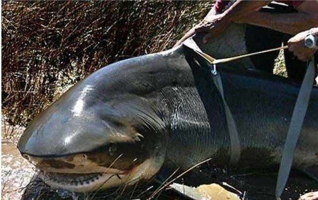 男子在家附近的湖边钓鱼，把鱼拉上来的瞬间，在场的人愣住了休闲区蓝鸢梦想 - Www.slyday.coM