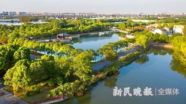 海上搜园记⑦张江环东生态园为何出现花果山水帘洞女儿国