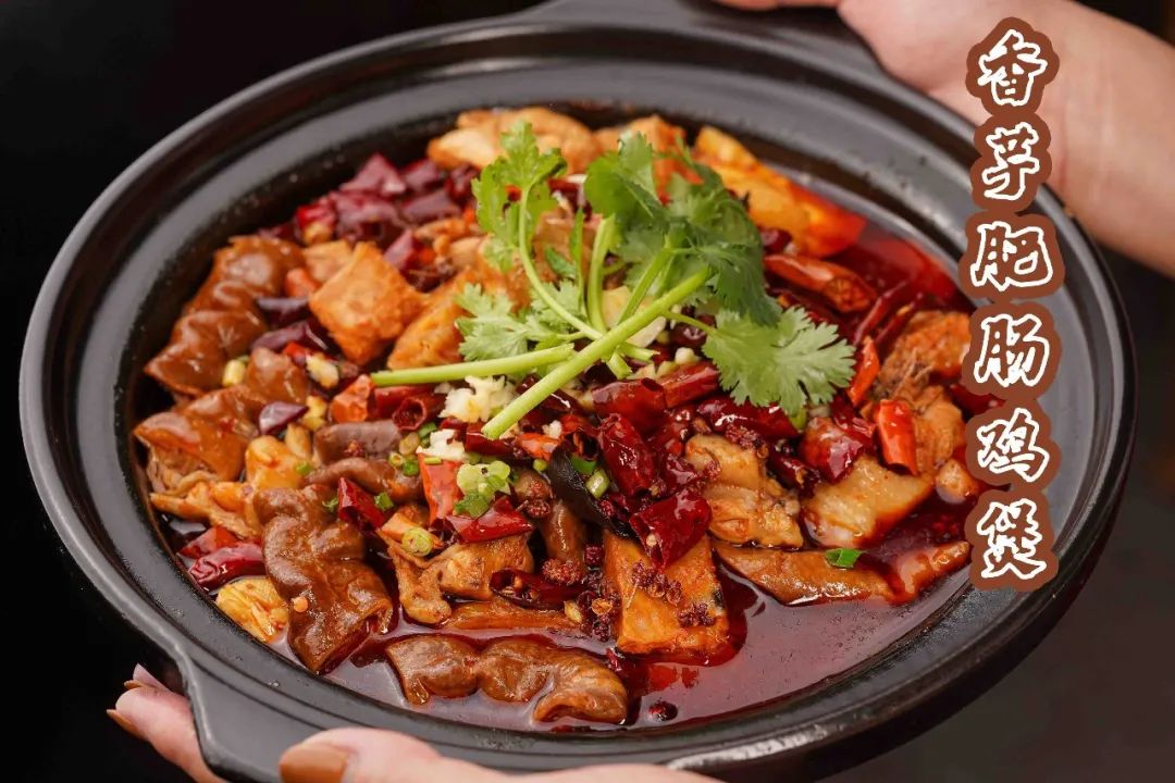 香芋肥肠鸡煲/"滋味鸡煲鲜牛肉,饭桌上yyds"01/在法律允许范围内,活动