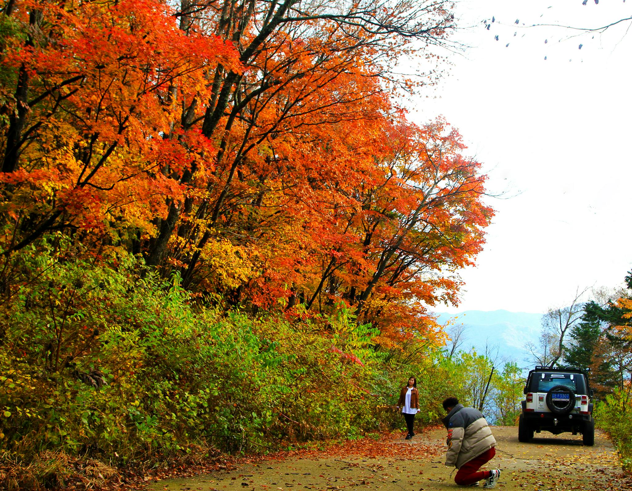 在枫林谷景区游览拍照的游客.(受访者供图)