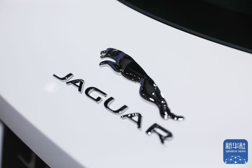 这是2019年1月18日在比利时布鲁塞尔车展上拍摄的捷豹汽车的车标.