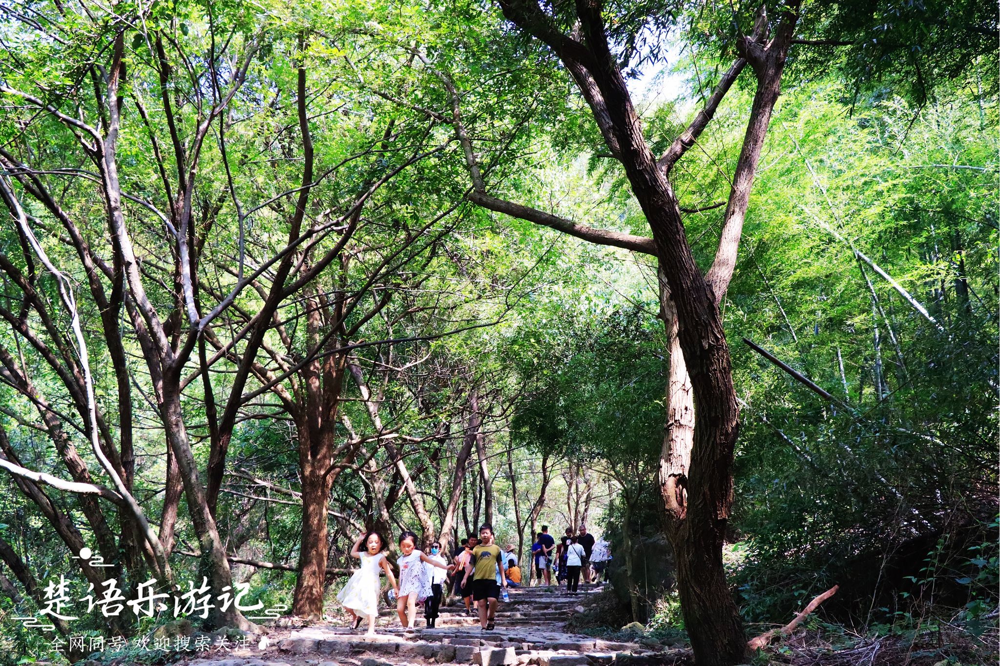 余姚市四明山有一条瀑布，人们形容它如白龙飞天，景美却免费开放|白龙|白水冲瀑布|瀑布_新浪新闻