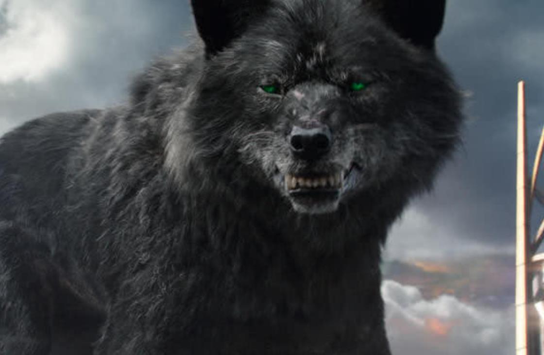 里尔|怪物|奇谈_新浪新闻