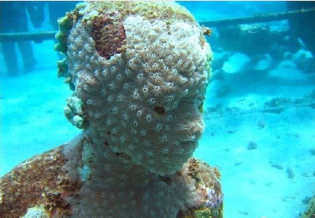 云南澄江抚仙湖底发现大量站立的尸体到底是真还是假