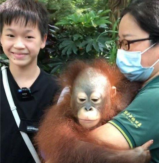 热泪盈眶!全红婵的愿望实现了,终于见到了大熊猫休闲区蓝鸢梦想 - Www.slyday.coM 热泪盈眶!全红婵的愿望实现了,终于见到了大熊猫休闲区蓝鸢梦想 - Www.slyday.coM