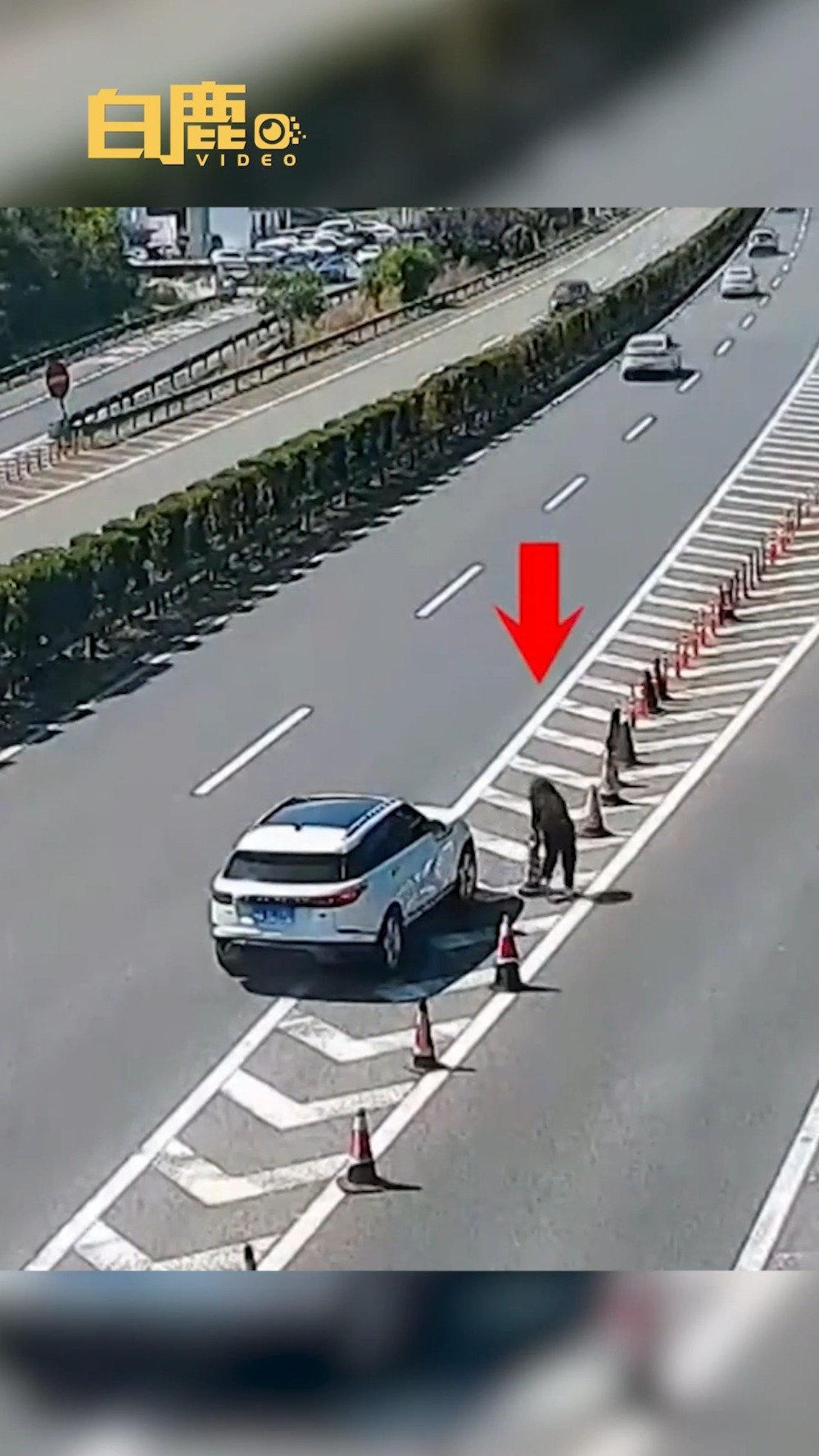 高速错过路口司机下车移走路锥开道 民警:记6分罚200