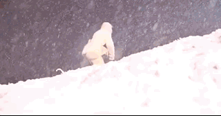 从“讨人嫌”到让人哭，《长津湖》里的易烊千玺，做对了什么？休闲区蓝鸢梦想 - Www.slyday.coM