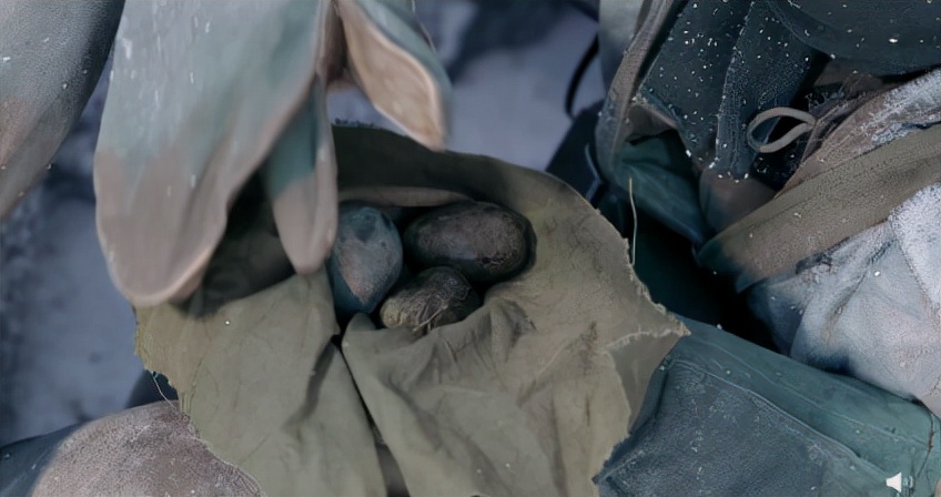 《长津湖》票房五天破20亿,这样的纪录一点都不奇怪休闲区蓝鸢梦想 - Www.slyday.coM 《长津湖》票房五天破20亿,这样的纪录一点都不奇怪休闲区蓝鸢梦想 - Www.slyday.coM