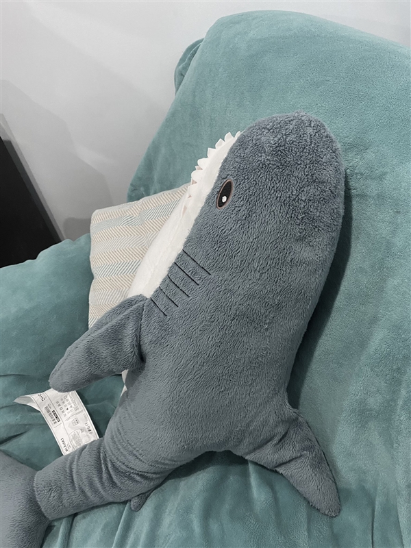 宜家网红玩具面临停产，网红郭老师伪装，钻漏洞或继续被全网封停休闲区蓝鸢梦想 - Www.slyday.coM