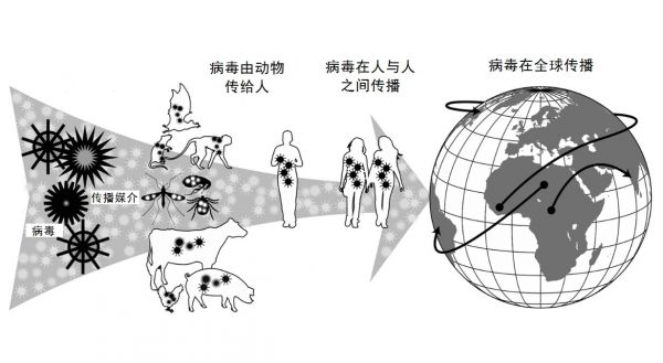 人畜共患病传播模式图。（英国《自然》周刊网站）