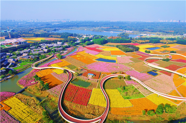 宿迁三台山邀你共赴一场与"花海"的约会|花海|宿迁市|江苏省_新浪新闻