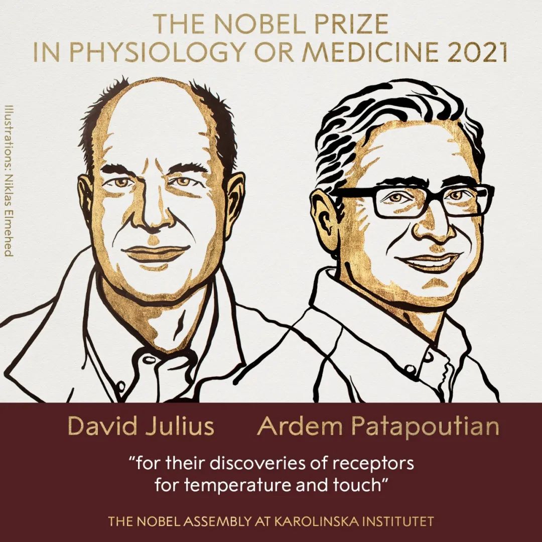 New Nobel laureate mentor Sheikman: Julius winning is almost inevitable thumbnail