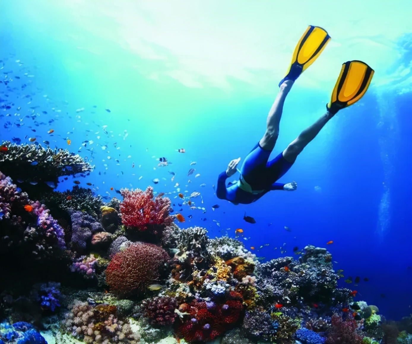 四大潜水胜地,快来海南开启神秘奇妙之旅