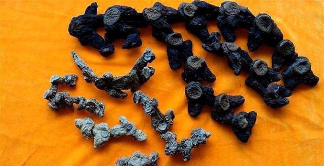 3个小细节教你如何辨别真假黄精让你慧眼识精